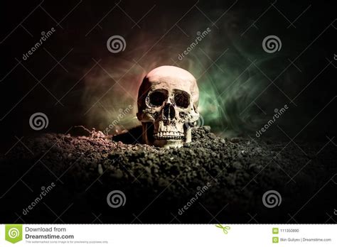 Frontview Of Human Skull Open Mouth On Dark Toned Foggy Background
