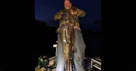 Fisherman Catches Record Breaking Catfish Near Stillwater Cbs Minnesota