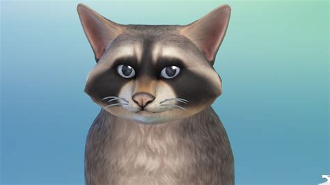 I Bred Raccoons And Cats In The Sims 4 To Create The Cutest Animal Ever