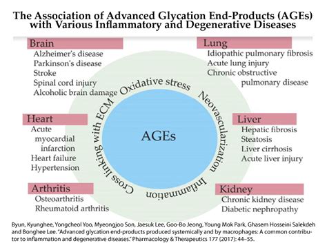 The chemical products of spontaneous reactions between sugars and proteins are known as advanced glycation end products (ages). Sugar and Aging: The role of Advanced Glycation End ...