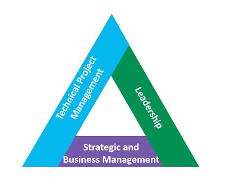 Triangle Of Talents Which Skills For The Project Manager