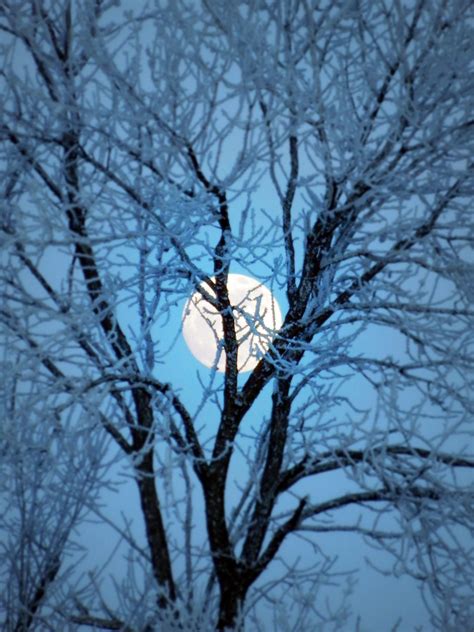 Winter Full Moon Howl At The Moon Over The Moon Stars And Moon