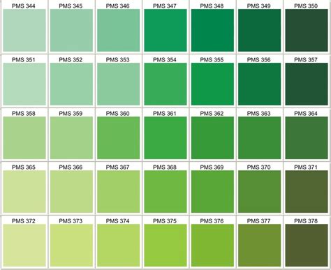 Couleurs Paleta De Color Verde Tipos De Color Verde Rueda De Colores