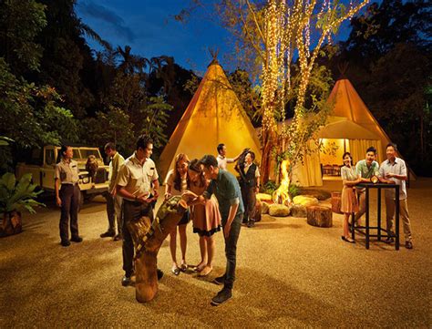 Singapore Night Safari Holidays Singapore Tour Packages