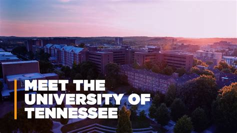 Why Go To University Of Tennessee Knoxville Let Us Introduce