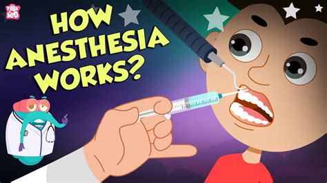 How Does Anesthesia Work Types Of Anesthesia Dr Binocs Show
