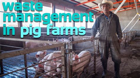 Farms Without Fines With Sistema Bio Biodigesters El Saucillo Farm