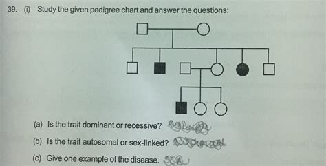 39 0 Study The Given Pedigree Chart And Answer The Questions Hoo A