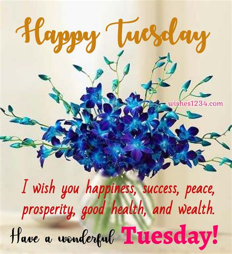 100 Happy Tuesday Quotes Inspirational Tuesday Quotes Happy Tuesday Quotes Tuesday Quotes