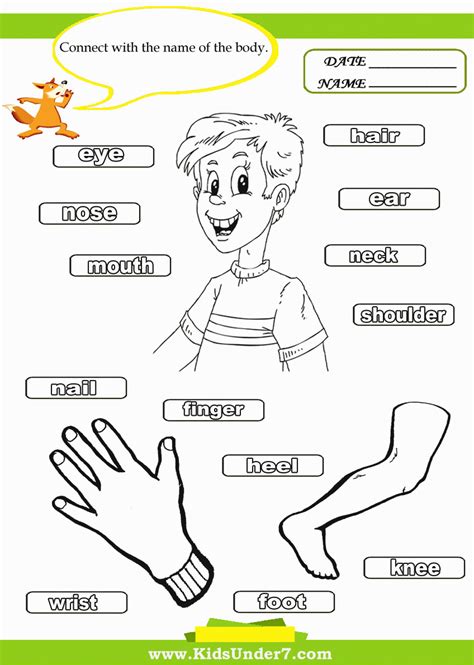 Body Parts Coloring Page For Kids Coloring Home Images And Photos Finder