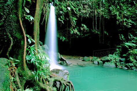 Caribbean Island Of Dominica Aka Nature Island Trois Piton National