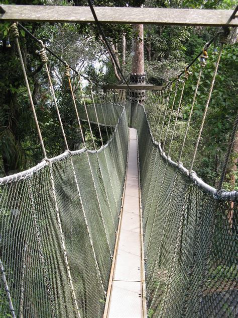 How to go, where to buy train tickets, ticket price, opening hours, penang hill attractions, cafes, hotels & more! Canopy Walkway, Penang Hill | Now this is spectacular - it ...