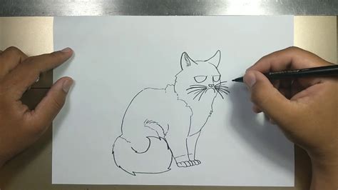How To Draw Grumpy Cat Step By Step Youtube