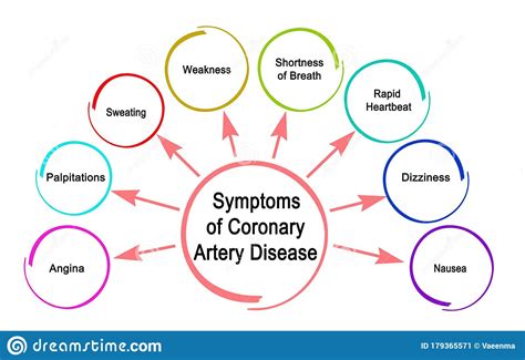 Coronary Artery Disease Info Graphic Heart Awareness
