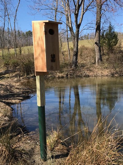 As with many animals, wood du… Wood Duck Boxes - Hilliard Management