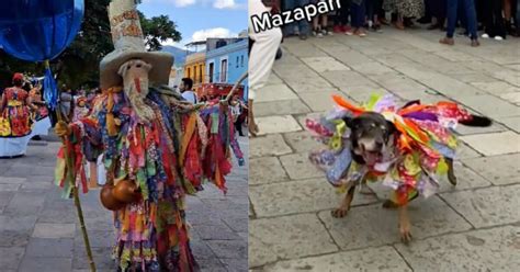 ¿qué Es Un Tiliche Tradición De Oaxaca A La Que Hizo Honor El Perrito