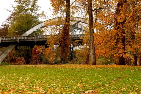 Caveman Bridge In Fall Photograph By Andries Kleynhans Pixels