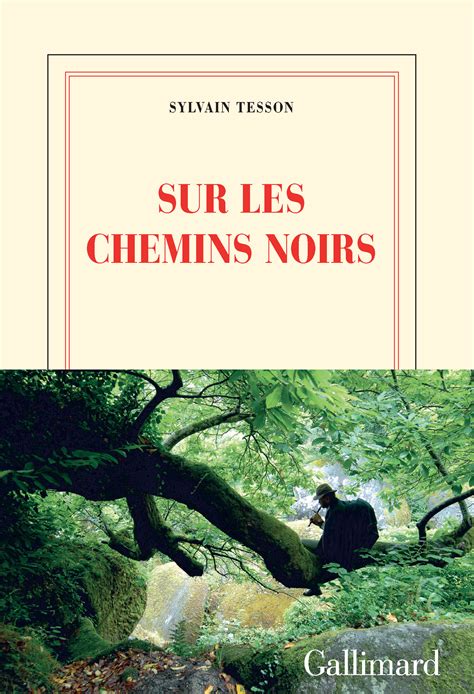 Critique De Sur Les Chemins Noirs Dernier Livre De Sylvain Tesson