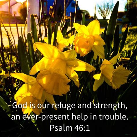 Psalm 46:1, New International Version (NIV) | Psalms, God is our refuge ...
