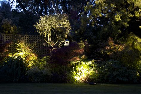 Garden Lighting Services In London Landscape Lighting Exterior