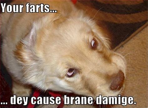 44 Funniest Fart Memes That Will Make You Laugh Page 3 Of 5 List Bark