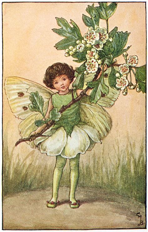 The Fairies Of The Spring Archives Flower Fairies Vintage Fairies
