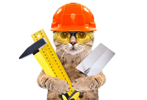 What Is A Cat Tool