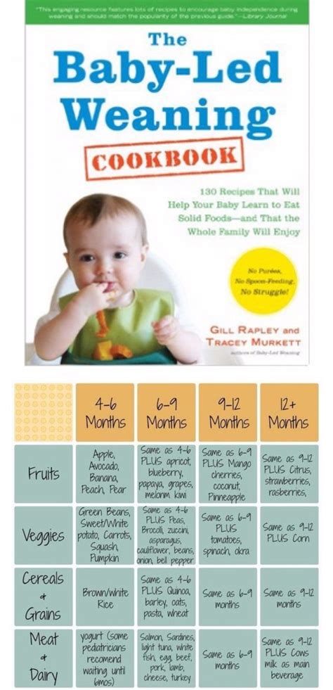 5 tips for planning healthy meals for baby; Baby Led Weaning First Foods #parentingtipsnewborn | Baby ...