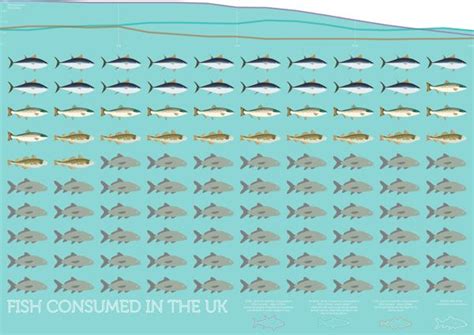Overfishing Infographic Posters By Helen Mak Via Behance Infographic