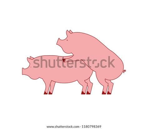 Pig Sex Piggy Intercourse Pigs Isolated Stock Vektor Royaltyfri