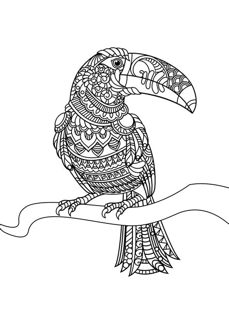 Free book toucan - Birds Adult Coloring Pages