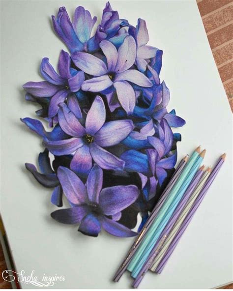 art flower drawing colour pencil 50 beautiful color pencil drawings from top artists around