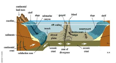 Ocean Floor Lesson