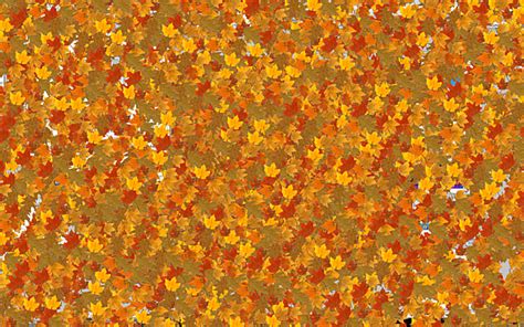 Falling Autumn Leaves Screensaver For Windows