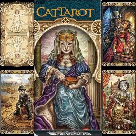 Cattarot Tarot Selene Shop