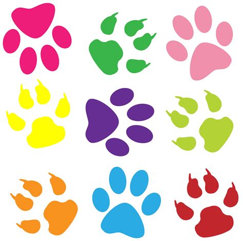 Paw Prints Colorful Background Free Stock Photo Public Domain Pictures