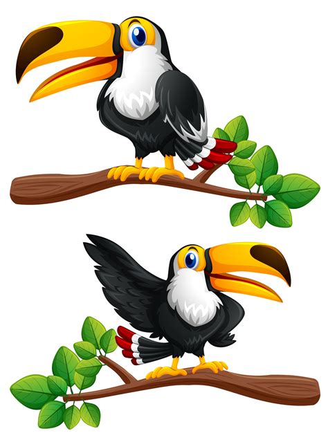 Two Toucan Birds On Branches 369183 Vector Art At Vecteezy