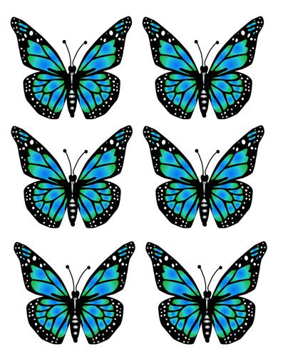Butterfly Clip Art Free Download Clip Art Free Clip