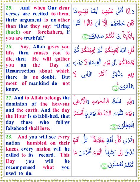 Read Surah Al Jasia With English Translation Quran O Sunnat