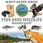 Fish And Wildlife Merit Badge Worksheet