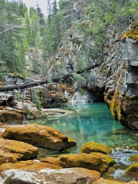 De Adembenemende Kloof Maligne Canyon In Canada The Hike