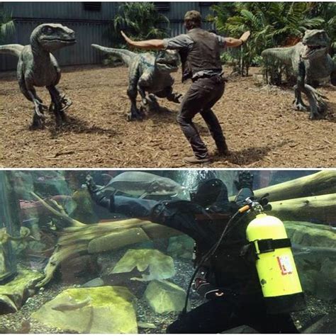 Los 25 Mejores Memes De Jurassic World