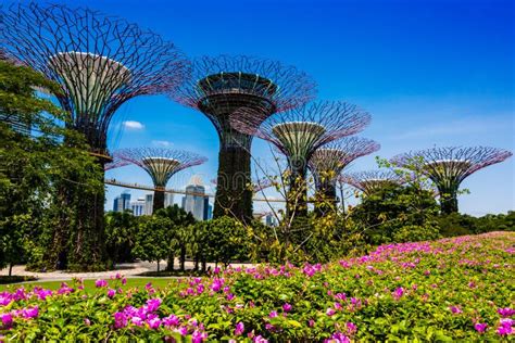 Gardens By The Bay Nature Park In Singapore Editorial Stock Photo