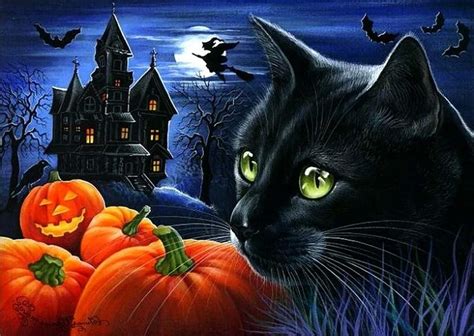 Black Cat Halloween Pumpkin Night Animals Hd Wallpaper Free Cat And
