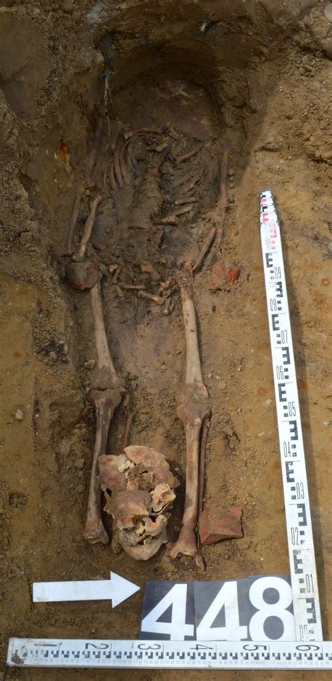 Headless ‘vampire Remains Discovered In 1800s Polish Mass Grave Site