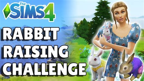 Introducing The Rabbit Raising Challenge The Sims 4 Guide Youtube