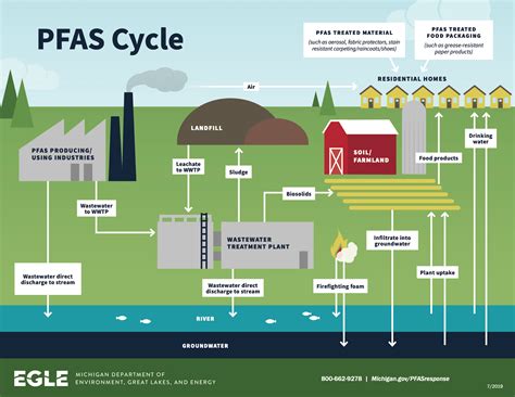 Pfas ‘forever Chemicals Are Widespread And Threaten Human Health