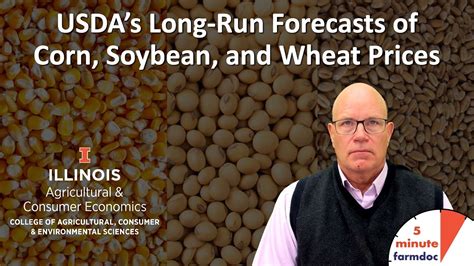 Usda S Long Run Forecasts Of Corn Soybean And Wheat Prices Youtube