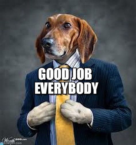 Search, discover and share your favorite good job gifs. Pin on Dogs with Jobs -- Memes