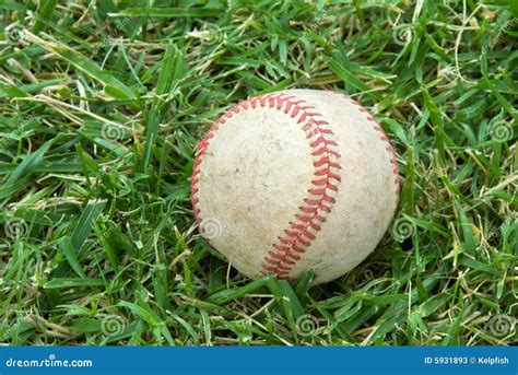 Baseball On Grass Field Stock Image Image Of Sports Worn 5931893